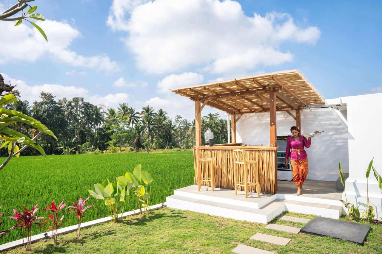 Bed & Breakfast Zango,